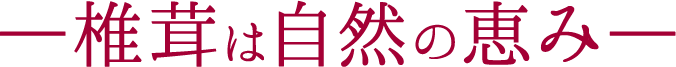 椎茸は自然の恵み