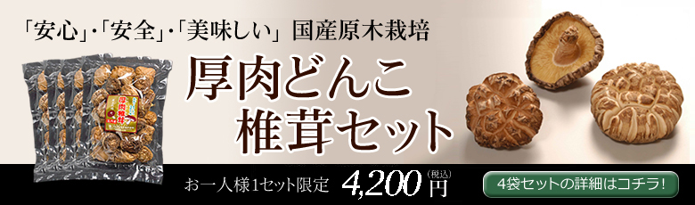 厚肉どんこ椎茸セット