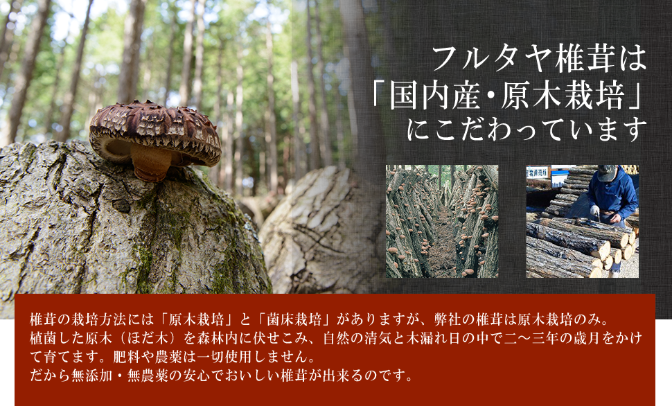 フルタヤ椎茸は「国内産・原木栽培」にこだわっています