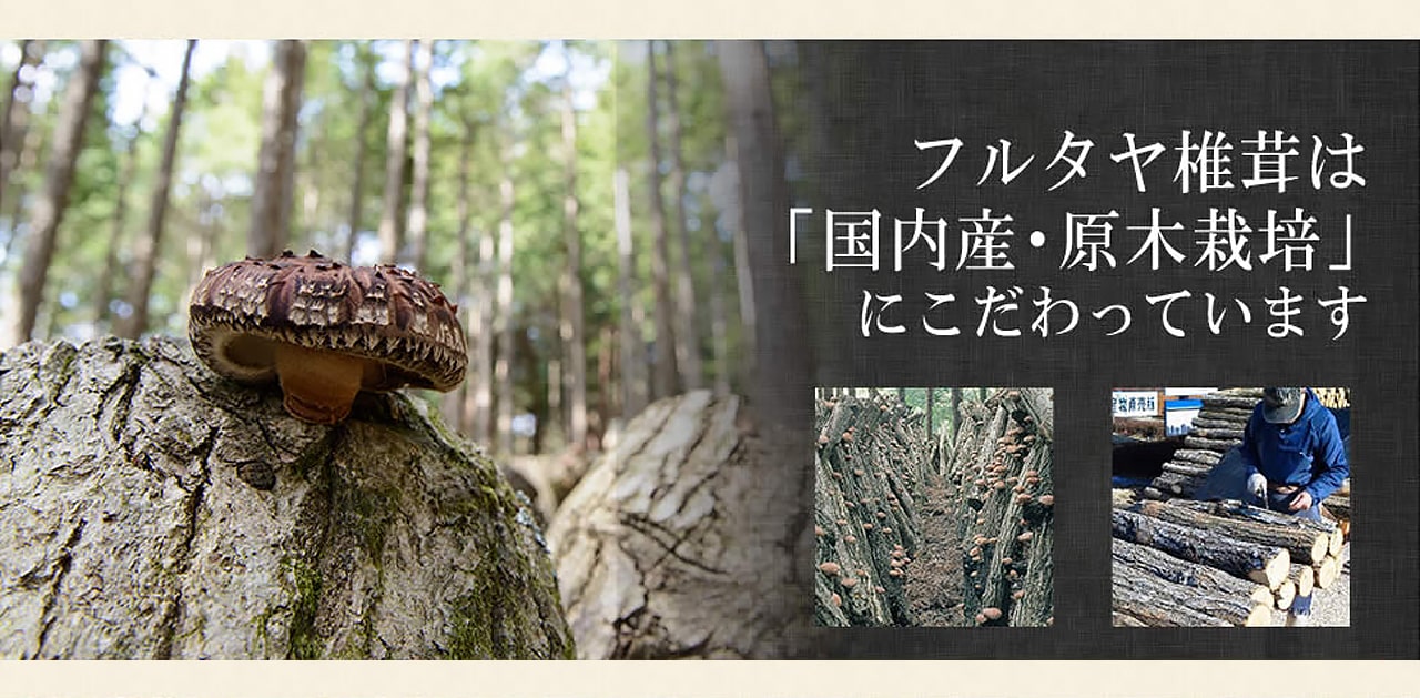 フルタヤ椎茸は「国内産・原木栽培」にこだわっています