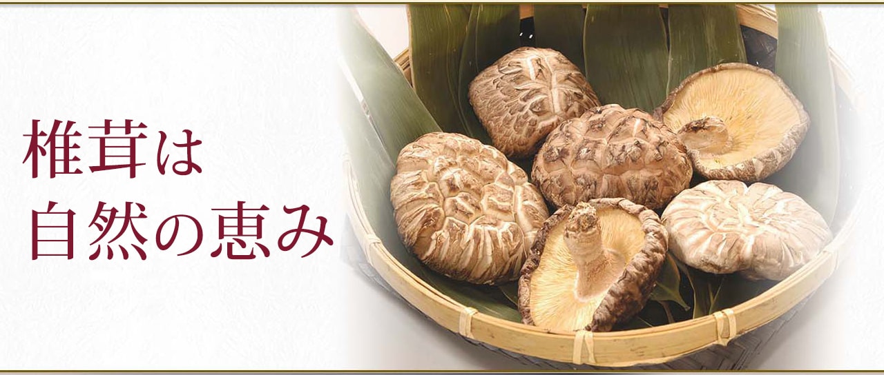 椎茸は自然の恵み