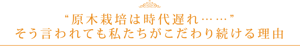 原木栽培は時代遅れ…… そう言われても私たちがこだわり続ける理由