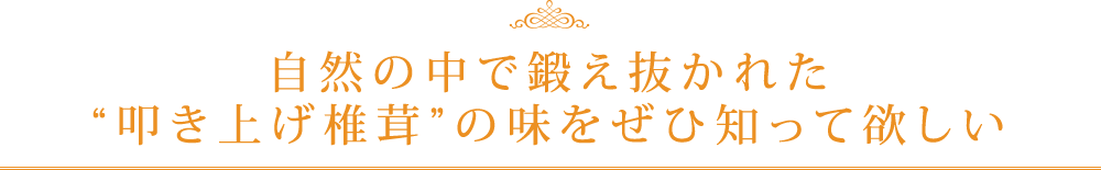 自然の中で鍛え抜かれた叩き上げ椎茸の味をぜひ知って欲しい