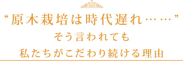 原木栽培は時代遅れ…… そう言われても私たちがこだわり続ける理由