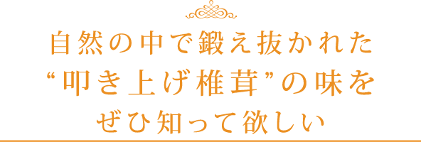 自然の中で鍛え抜かれた叩き上げ椎茸の味をぜひ知って欲しい